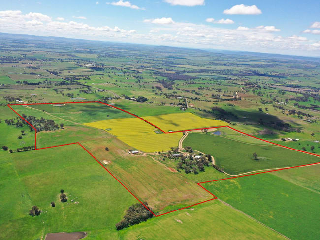 433 Maimuru SS Road Via Young NSW 2594
