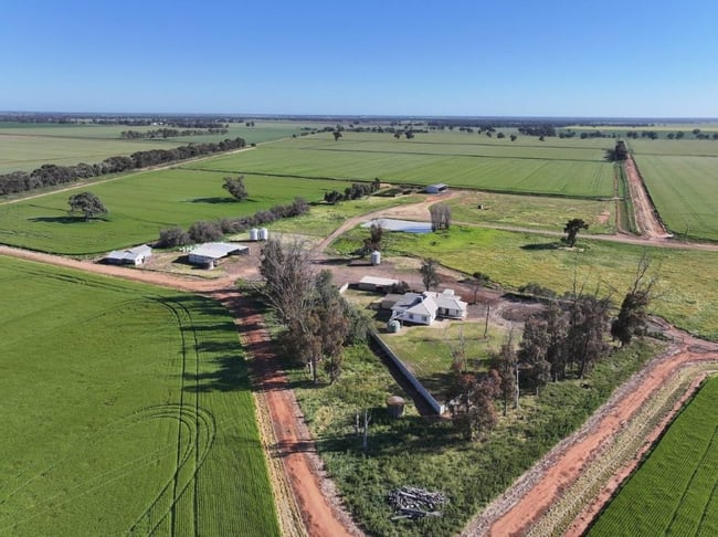 'Cleveland' 163 Holzigals Road Finley NSW 2713