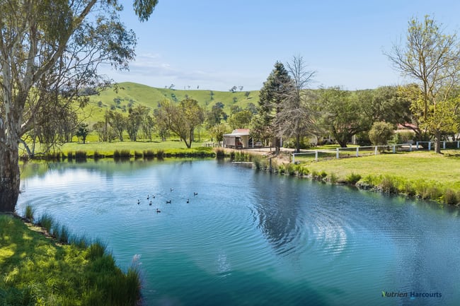 141 U T Creek Road Alexandra VIC 3714 141 U T Creek Road Alexandra VIC 3714