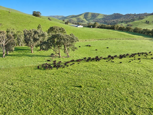 71-79 Ti Tree Creek Road Yea VIC 3717 71-79 Ti Tree Creek Road Yea VIC 3717