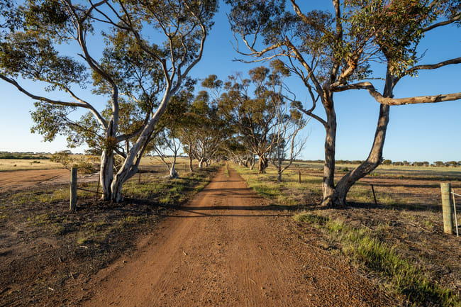 5566 Tieline Road Gnowangerup WA 6335 5566 Tieline Road Gnowangerup WA 6335