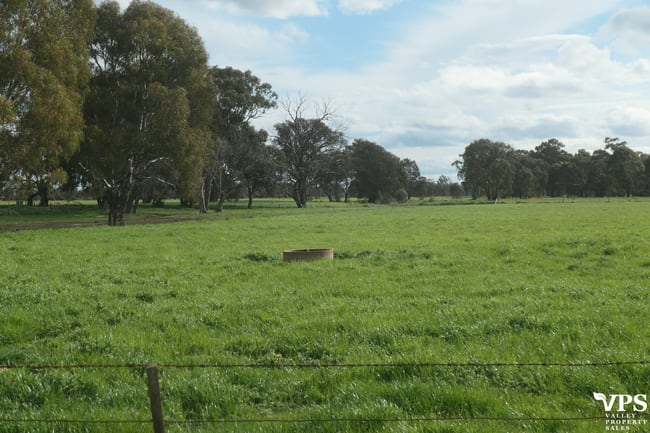 945 Cosgrove-Lemnos Road Pine Lodge VIC 3631