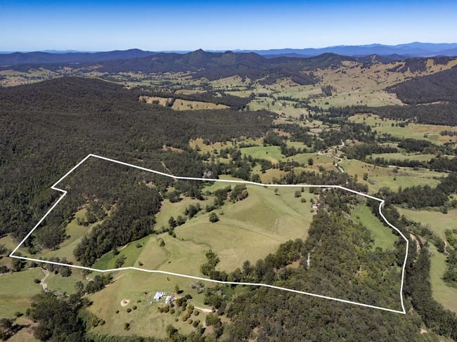 3718 Taylors Arm Road Burrapine NSW 2447 3718 Taylors Arm Road Burrapine NSW 2447