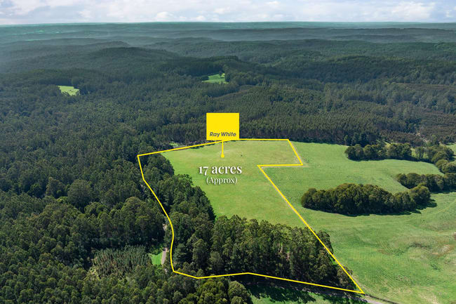 60 Harveys Track Beech Forest VIC 3237 60 Harveys Track Beech Forest VIC 3237