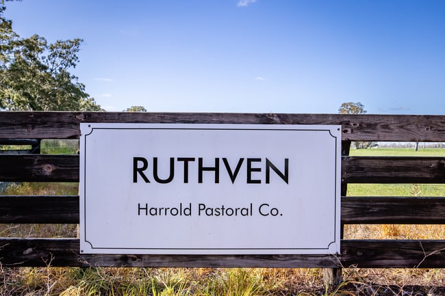 3699 Casterton-Penola Road Lake Mundi VIC 3312 3699 Casterton-Penola Road Lake Mundi VIC 3312