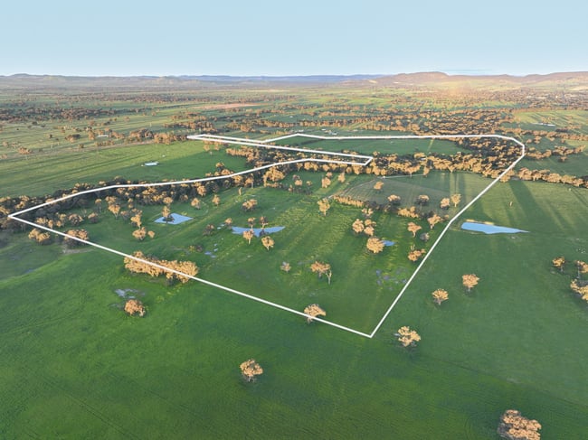 547 Culcairn Holbrook Road Holbrook NSW 2644 547 Culcairn Holbrook Road Holbrook NSW 2644