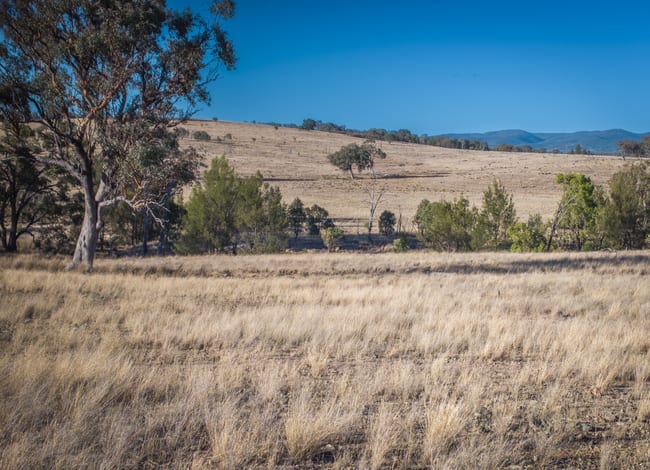 2403 Stanthorpe-Inglewood Road Inglewood QLD 4387 2403 Stanthorpe-Inglewood Road Inglewood QLD 4387