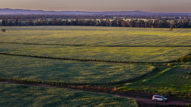 298 Eumungerie Road Narromine NSW 2821