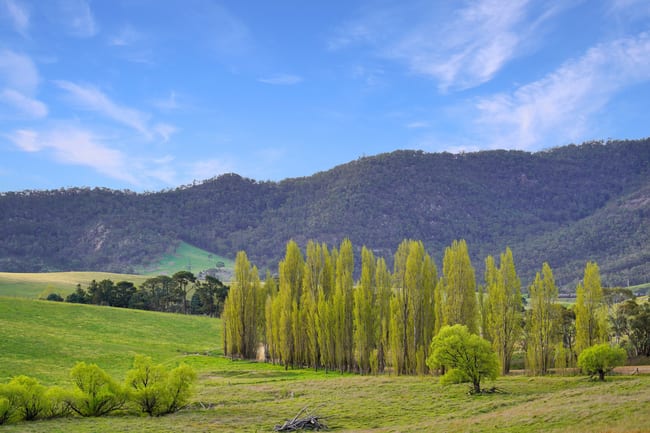 751 Sodwalls Road Tarana NSW 2787 751 Sodwalls Road Tarana NSW 2787