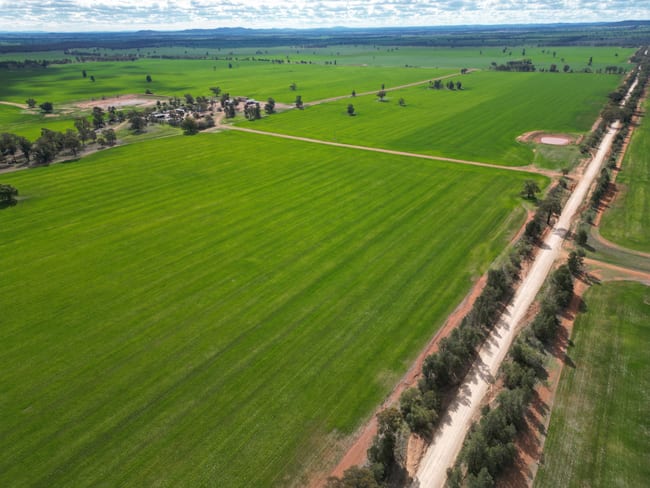 1100 Jillett Road Ardlethan NSW 2665 1100 Jillett Road Ardlethan NSW 2665