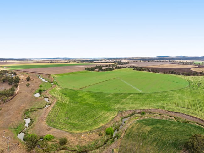 1635 Clifton Leyburn Road Ellangowan QLD 4361 1635 Clifton Leyburn Road Ellangowan QLD 4361