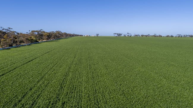 'Rudds' Allotment 81 Ardrossan Road Maitland SA 5573