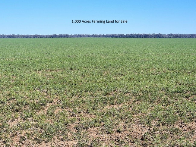 5358 Mercadool Road Collarenebri NSW 2833 5358 Mercadool Road Collarenebri NSW 2833