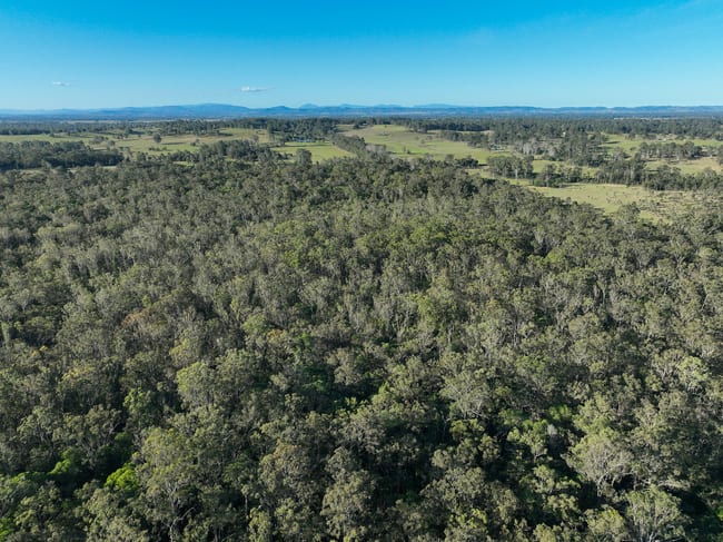 1050 Ellangowan Road Yorklea NSW 2470 1050 Ellangowan Road Yorklea NSW 2470