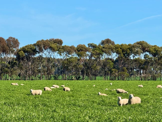 433 South Road Mortlake VIC 3272 433 South Road Mortlake VIC 3272
