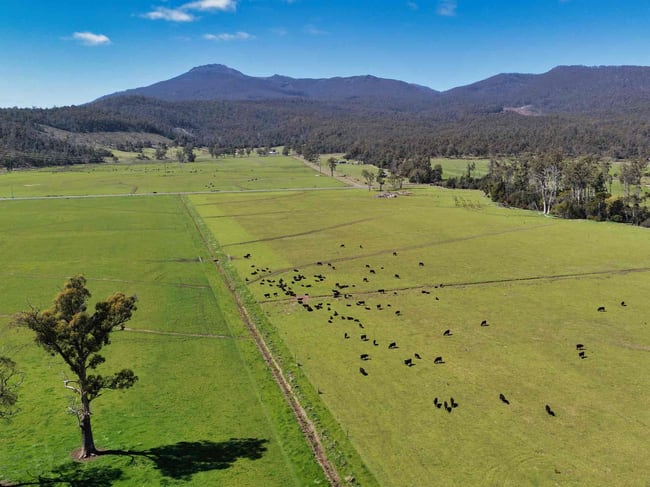 38791 Tasman Highway Nunamara TAS 7259 38791 Tasman Highway Nunamara TAS 7259