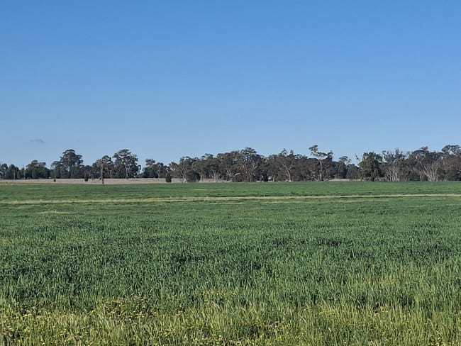 Dubbo NSW 2830 Dubbo NSW 2830