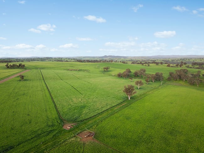 6294 Mitchell Highway Molong NSW 2866 6294 Mitchell Highway Molong NSW 2866