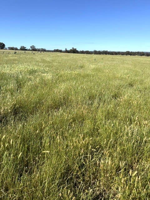 63 Coonooer Gowar Road Coonooer Bridge VIC 3477 63 Coonooer Gowar Road Coonooer Bridge VIC 3477