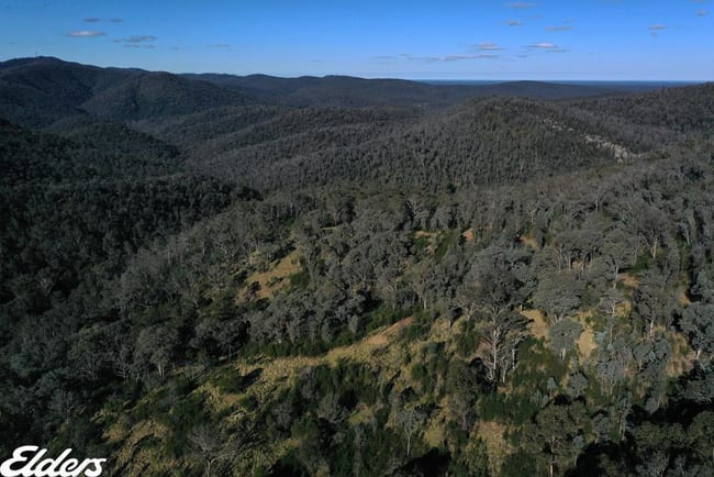 Duffy Road Briagolong VIC 3860 Duffy Road Briagolong VIC 3860