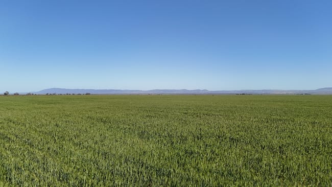 'Forbes's' Wilmington Road Hammond SA 5431