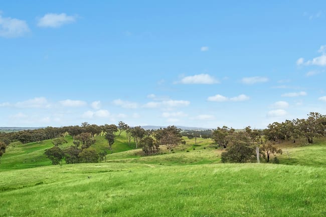 1862 Euchareena Road Molong NSW 2866 1862 Euchareena Road Molong NSW 2866
