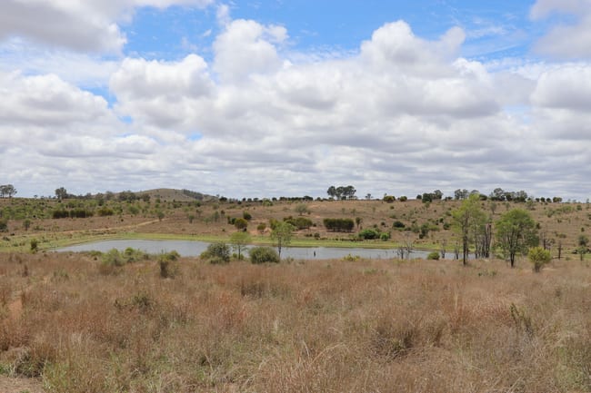 "Penlyn Hills" 811 Lowries Road Kokotungo QLD 4702 "Penlyn Hills" 811 Lowries Road Kokotungo QLD 4702