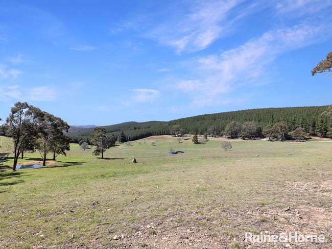 Lot 29 Mount Homer Road Yetholme NSW 2795 Lot 29 Mount Homer Road Yetholme NSW 2795