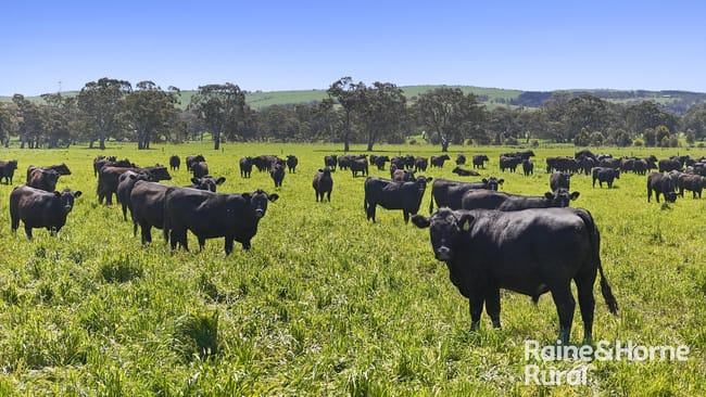 160 Rowley Road Myponga SA 5202 160 Rowley Road Myponga SA 5202