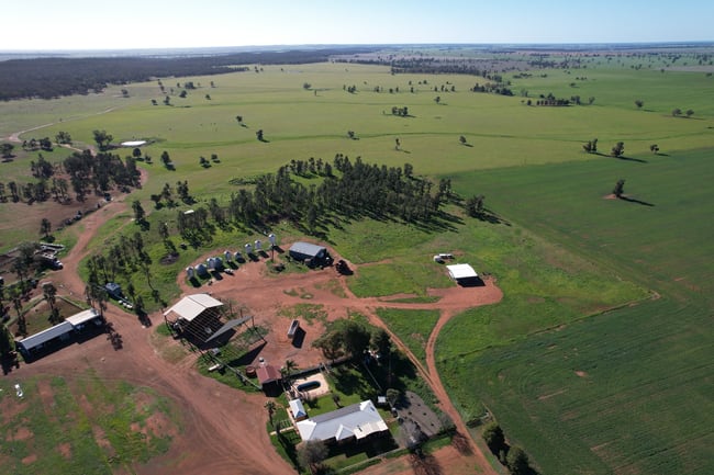 3896 Albert Road Condobolin NSW 2877 3896 Albert Road Condobolin NSW 2877