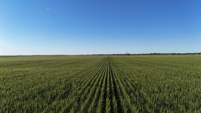 'Blyth Block' Sectio Wandel Road Blyth SA 5462 'Blyth Block' Sectio Wandel Road Blyth SA 5462