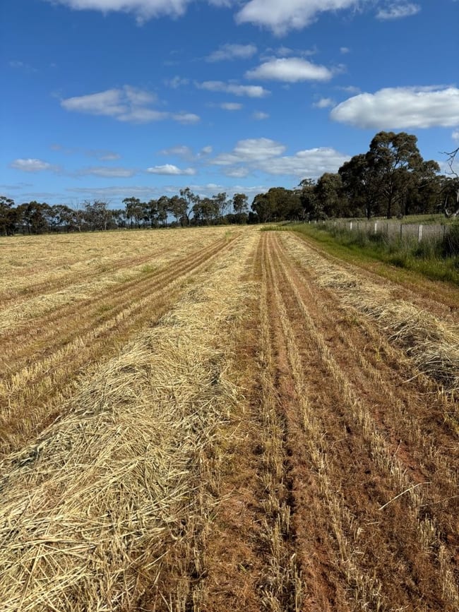 - Cnr Heathcote - Rochester Rd & Davey Rd Cornella VIC 3551 - Cnr Heathcote - Rochester Rd & Davey Rd Cornella VIC 3551