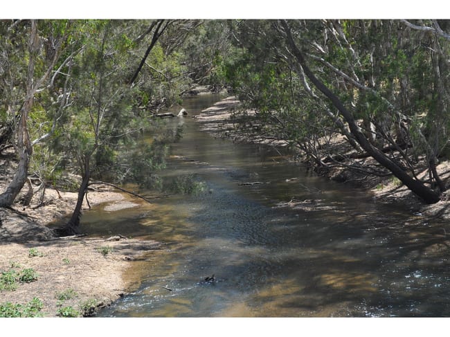 22/836 Wolfram Road Dimbulah QLD 4872