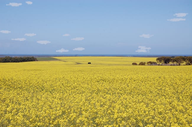 1715 Coxalll Road Munglinup WA 6450 1715 Coxalll Road Munglinup WA 6450