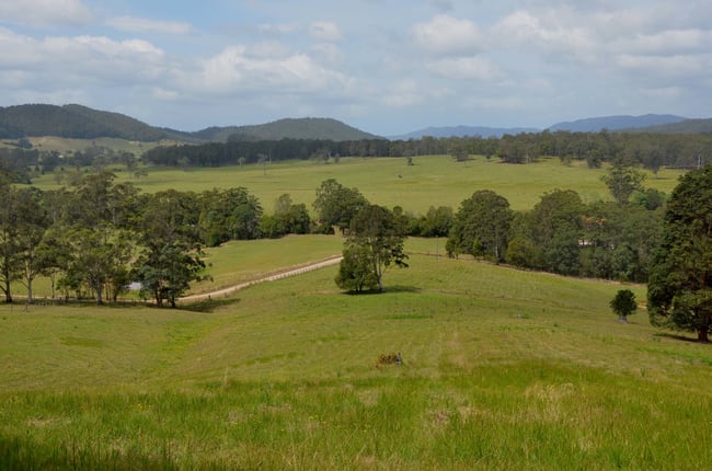 Lot 1 Pipeclay Road Pipeclay NSW 2446