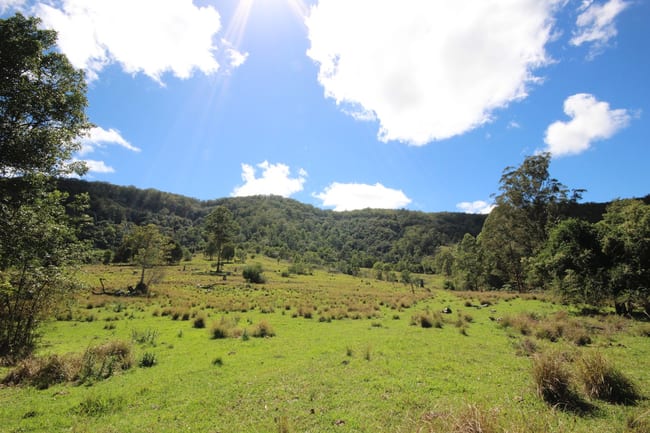 Lot 133 Forbes River Road Birdwood NSW 2446 Lot 133 Forbes River Road Birdwood NSW 2446