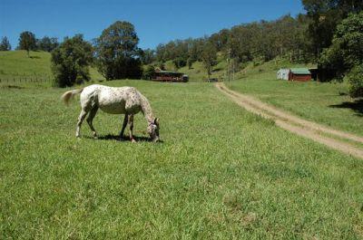 Kindee NSW 2446 Kindee NSW 2446