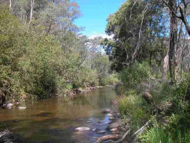 1535 Great Alpine Road Smoko VIC 3741 1535 Great Alpine Road Smoko VIC 3741