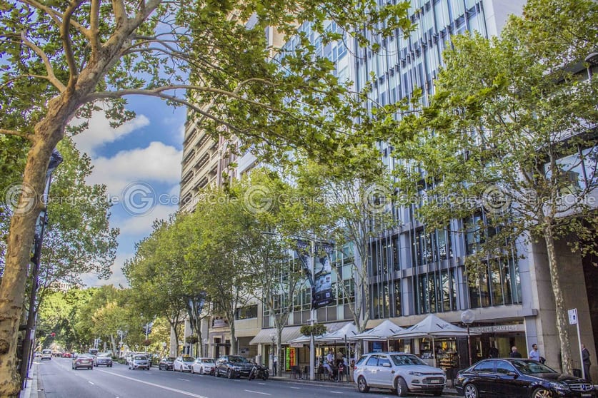 Click to view all images Suite 313-314/229 Macquarie Street Sydney NSW 2000 - Image 1