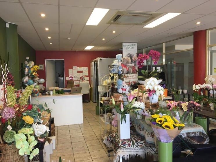 Click to view all images 2/303 Penshurst Street Willoughby NSW 2068 - Image 3