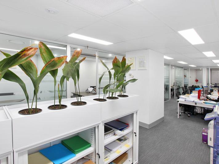 Click to view all images Level 4/72 Pitt Street Sydney NSW 2000 - Image 1