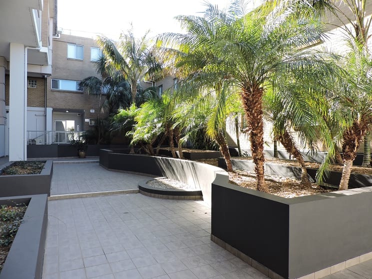 Click to view all images Shop 1/228 Condamine Street Manly Vale NSW 2093 - Image 3