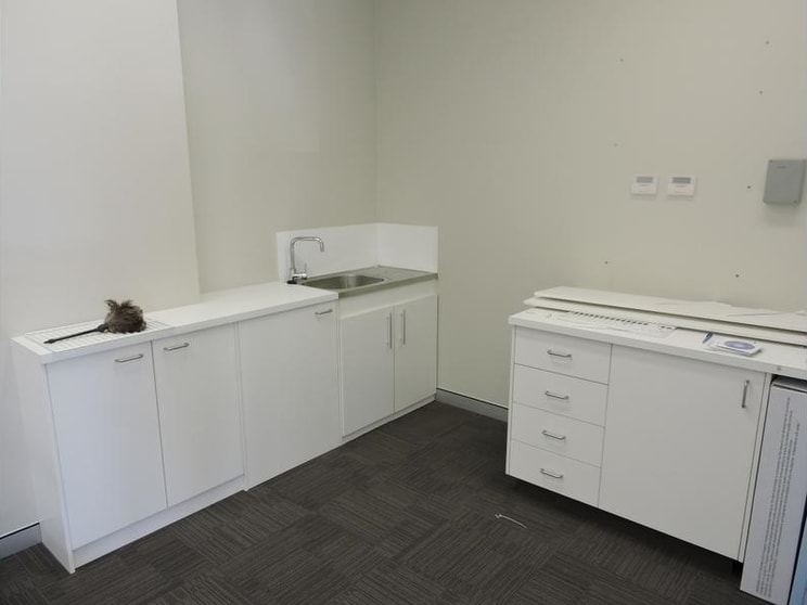 Click to view all images 102 A&B Bruce Avenue Paradise Point QLD 4216 - Image 3