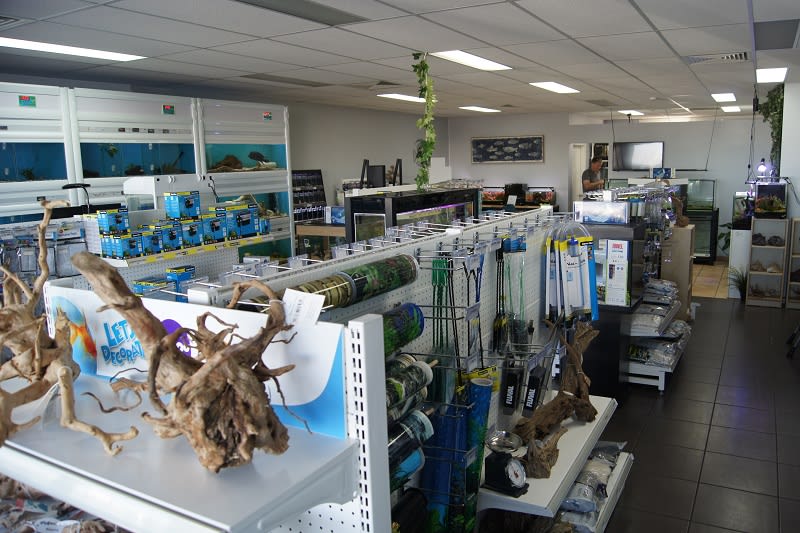 Click to view all images 2a/130 Valetta Road Fulham Gardens SA 5024 - Image 3