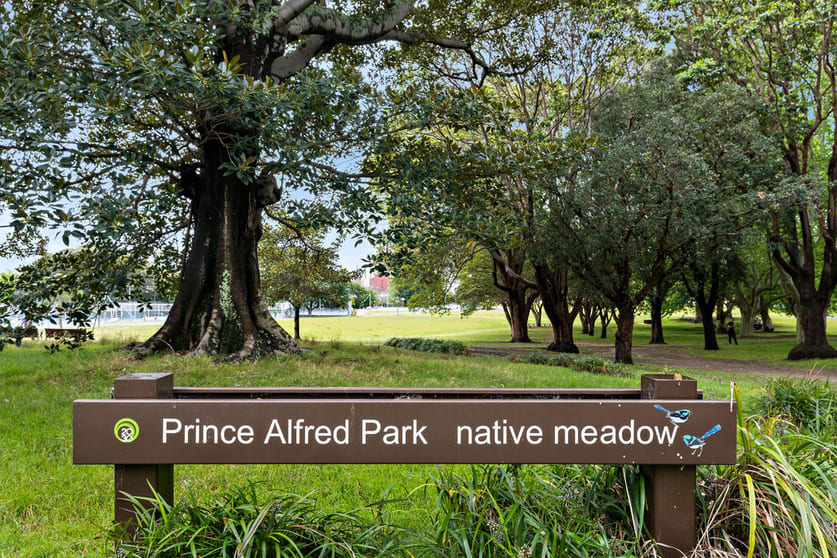 Click to view all images Shop 1/246-250 Cleveland Street Surry Hills NSW 2010 - Image 2