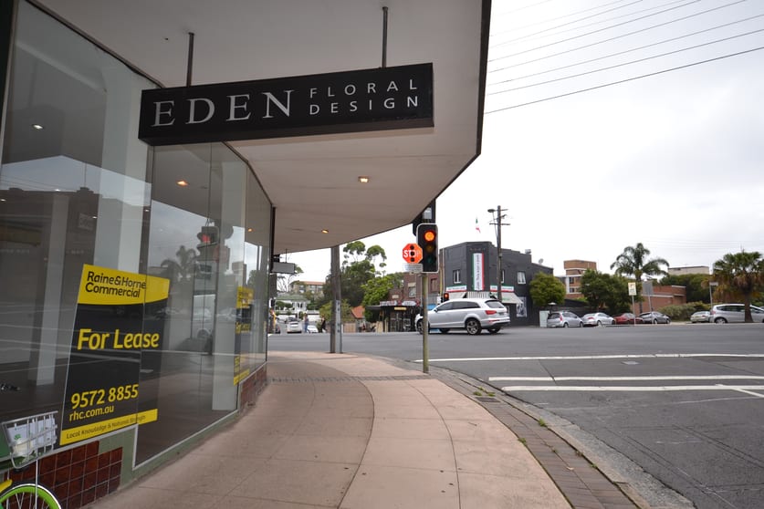 Click to view all images 49 FRENCHMANS ROAD Randwick NSW 2031 - Image 3