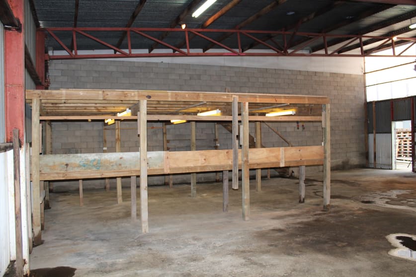 Click to view all images 3b/305 Pacific Highway Coffs Harbour NSW 2450 - Image 2