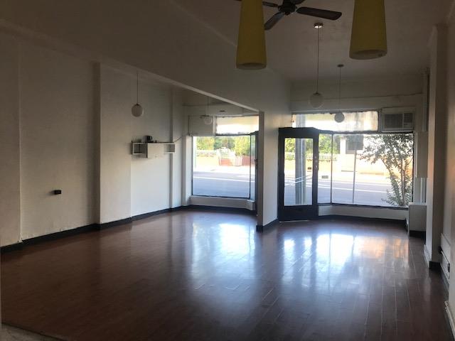 Click to view all images 203 Elgar Road Surrey Hills VIC 3127 - Image 3