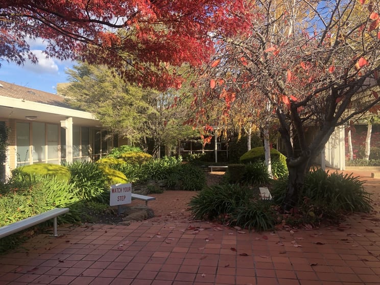 Click to view all images Unit 11/5 McKay Gardens Turner ACT 2612 - Image 1