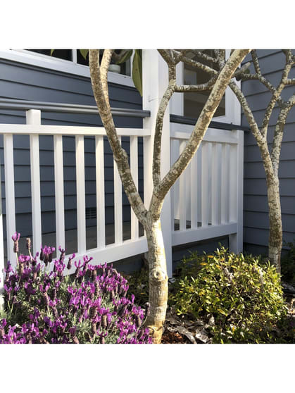 Click to view all images Suite 2/98 Lake Road Port Macquarie NSW 2444 - Image 2